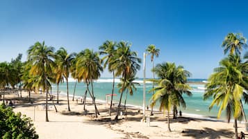 Una playa cerca, traslado desde/hacia la playa gratis, toallas de playa