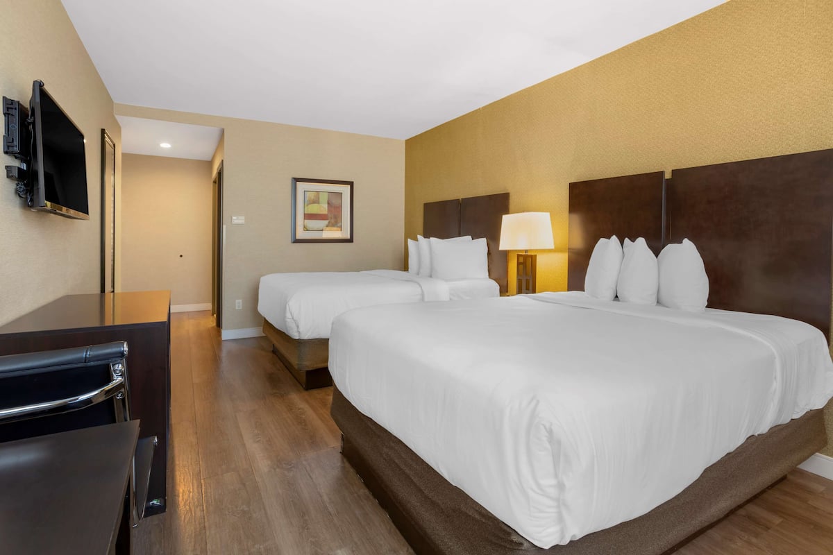 Premium bedding, down duvets, in-room safe, desk