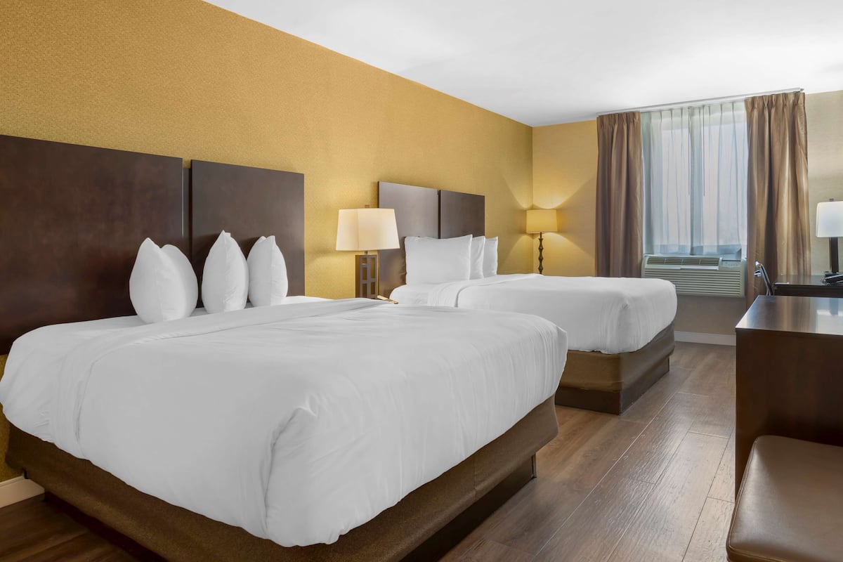 premium bedding, down duvets, in-room safe, desk