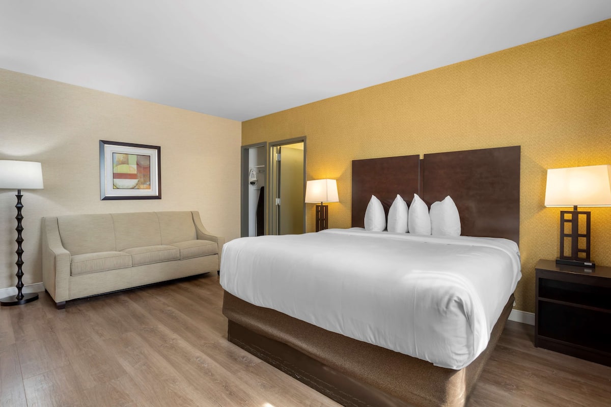 Suite, 1 letto king con divano letto, non fumatori, frigorifero (with Sofabed) | Biancheria da letto di alta qualità, copriletto in piuma