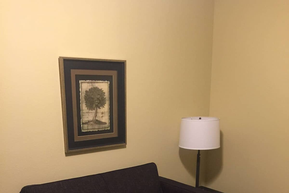 Executive Suite, 1 King Bed