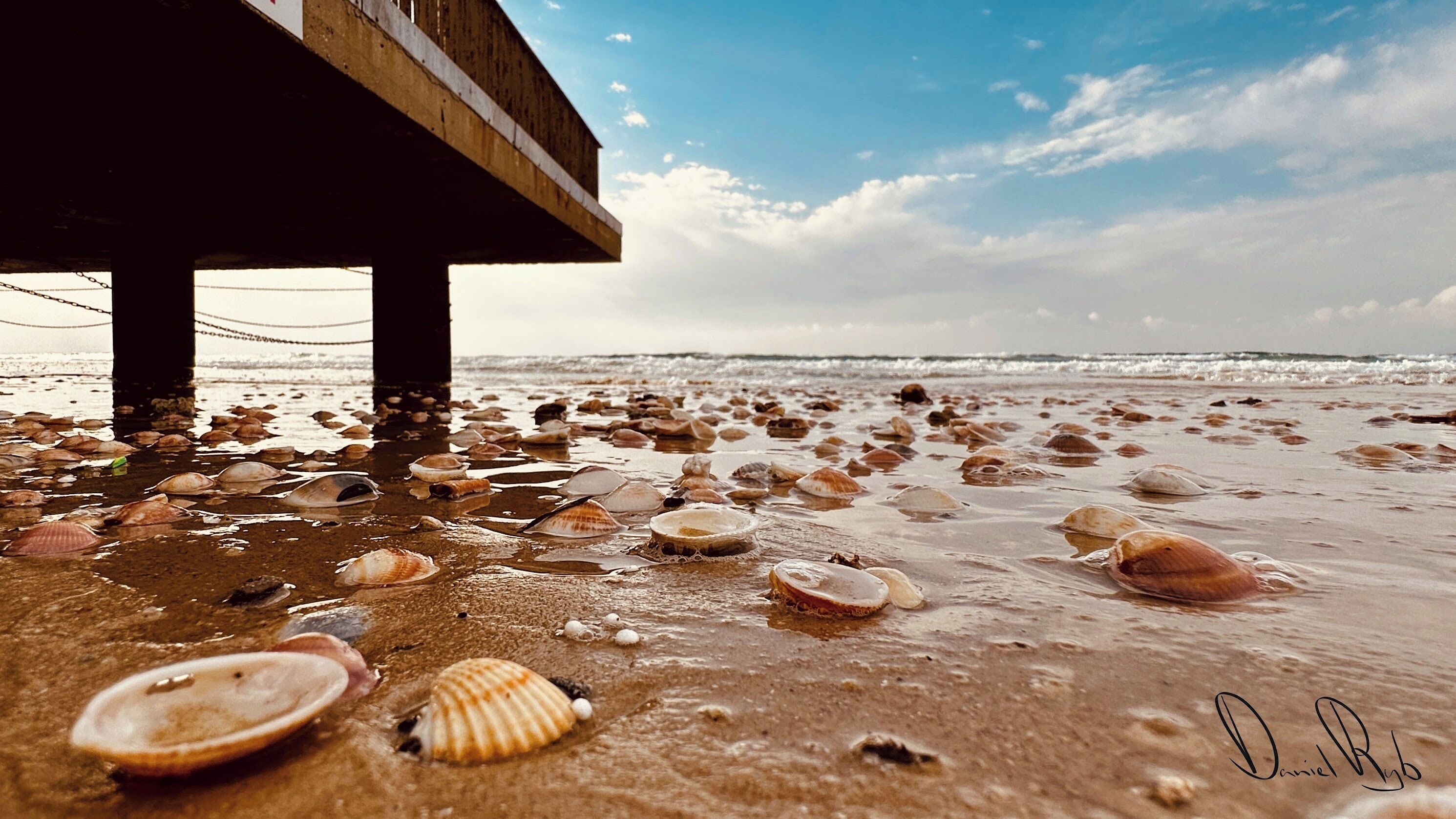 Una playa con numerosas conchas marinas esparcidas sobre la arena, bajo un muelle de madera.