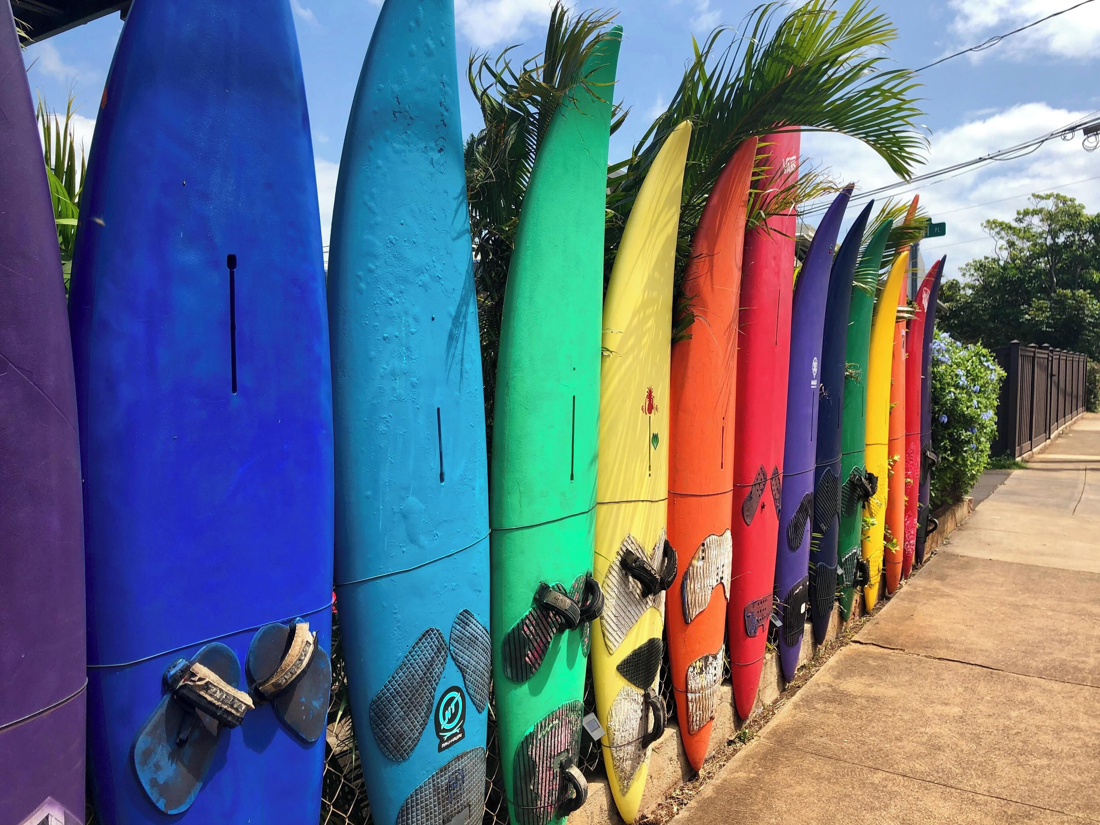 surfing/boogie boarding