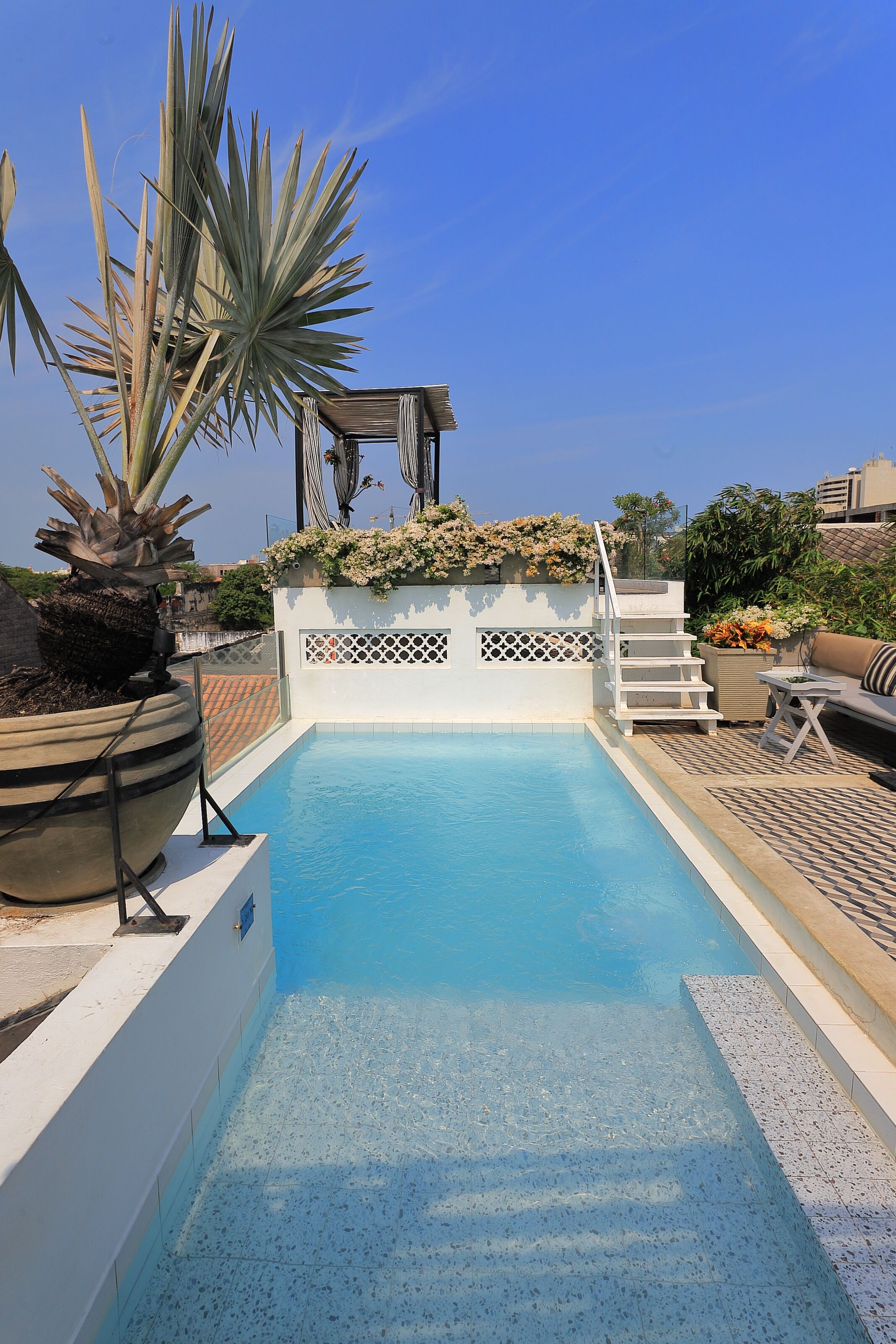 A rooftop pool with a clear blue water, surrounded by potted plants and a white fence.
