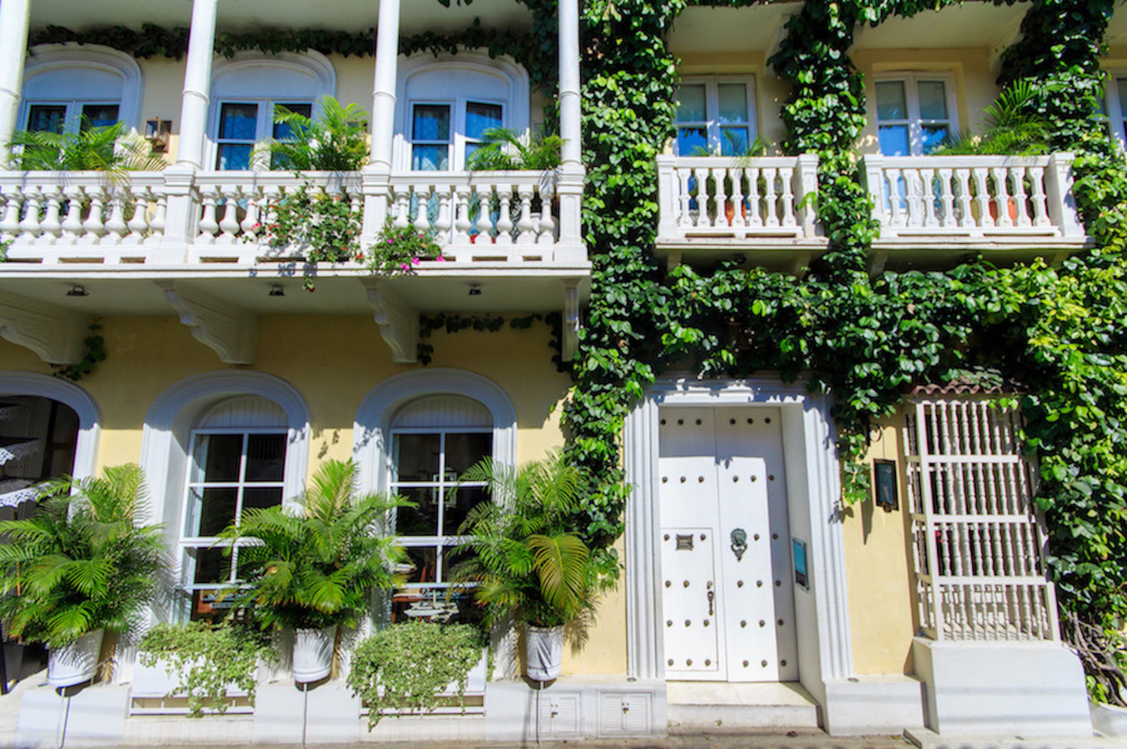 واجهة المنشأة