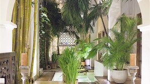 Een gang met potplanten en een decoratieve balustrade.