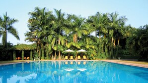 Una piscina con agua azul cristalina, rodeada de palmeras y sillas de descanso.