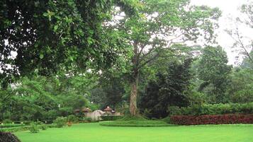 Khuôn viên nơi lưu trú