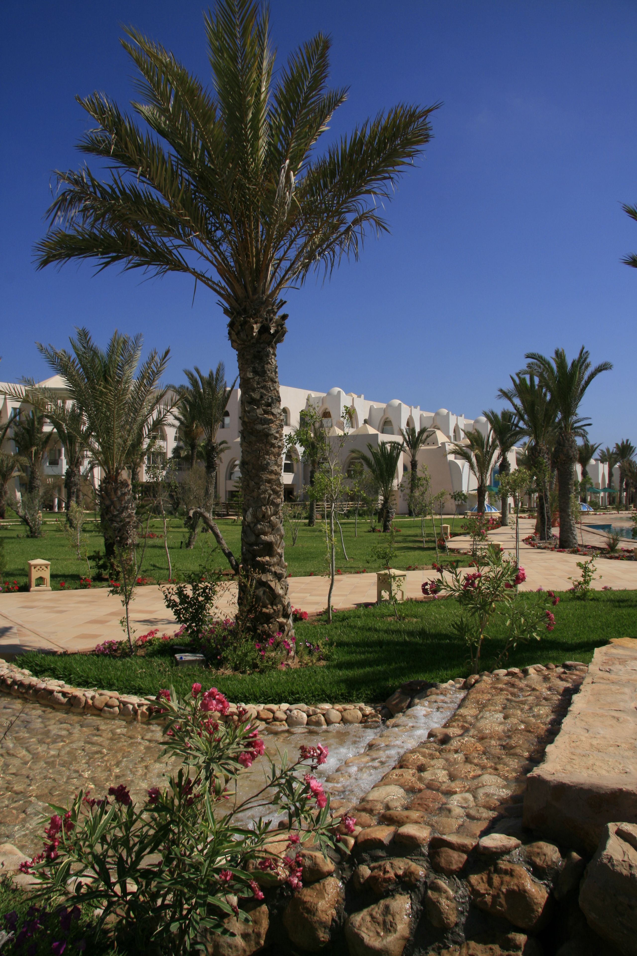 A landscaped garden with palm trees, a water feature, and a building with arches in the background.