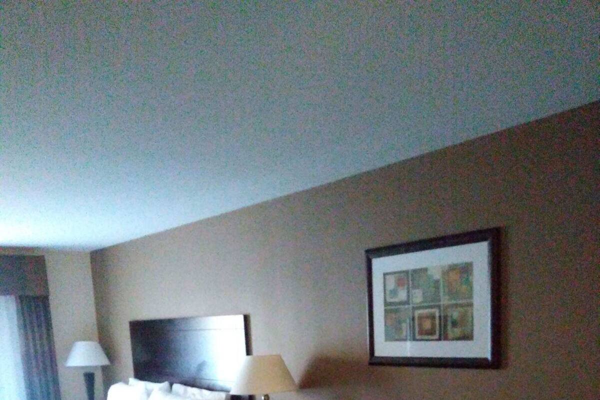 Ett hotellrum med en säng, en soffa, ett soffbord, ett nattduksbord och en inramad tavla på väggen.