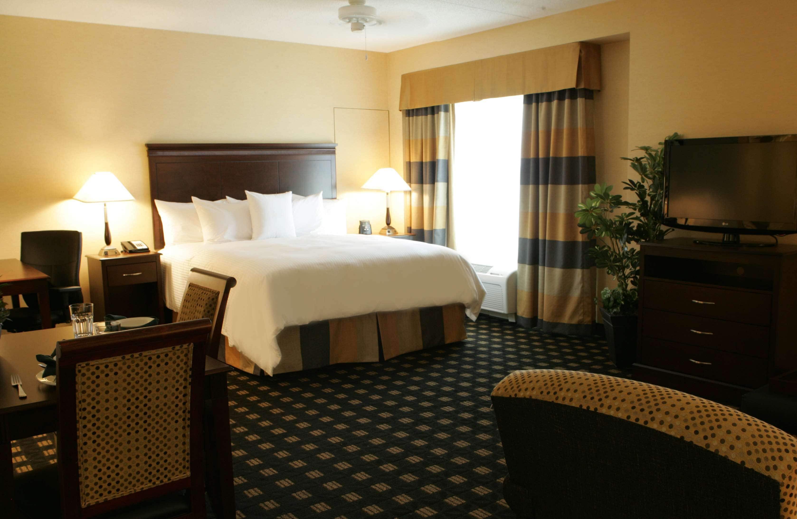 A hotel room with a large bed, two bedside tables with lamps, a television, a desk with a chair, and a potted plant.