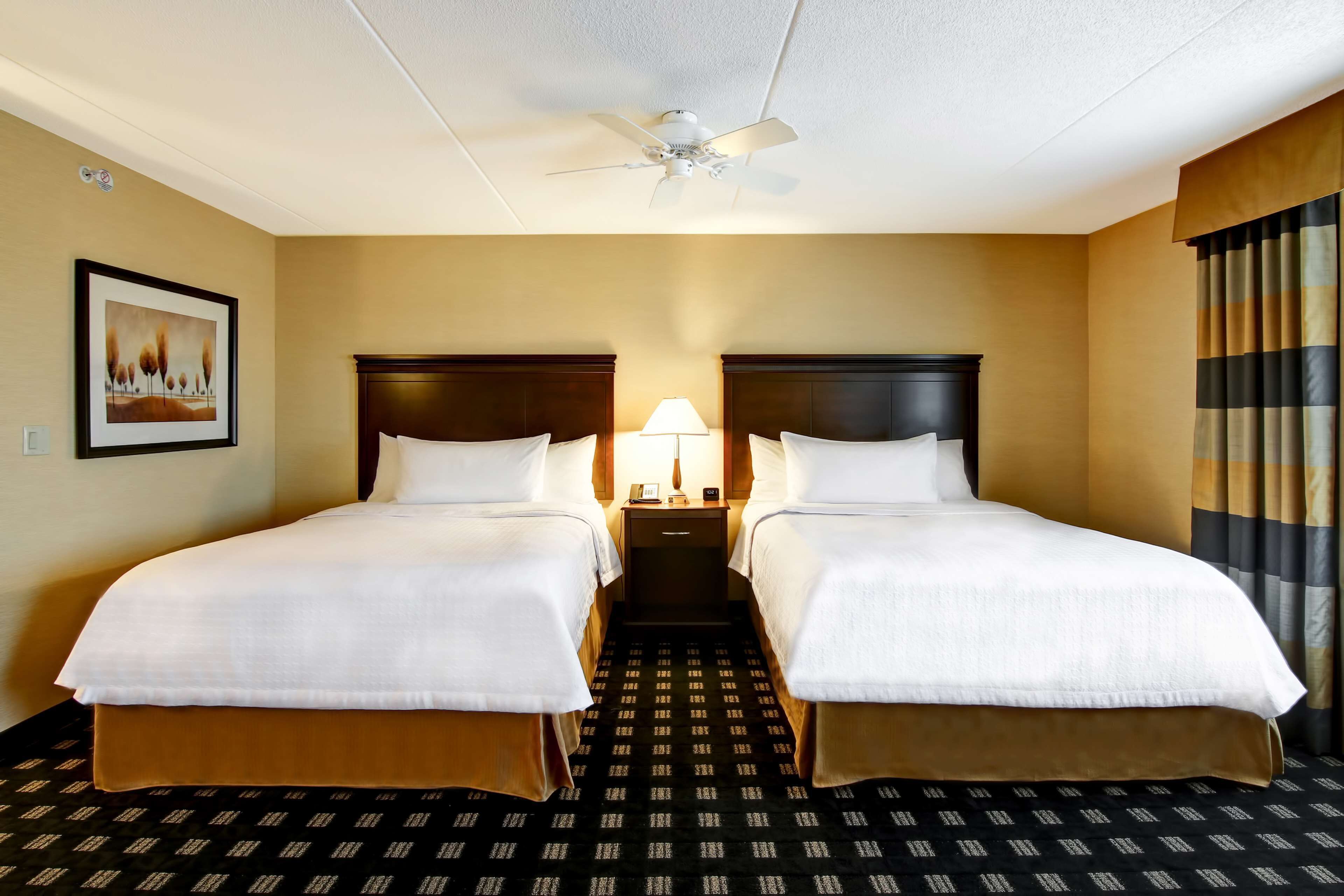 A hotel room with two beds, a ceiling fan, a nightstand with a lamp, and a patterned carpet.