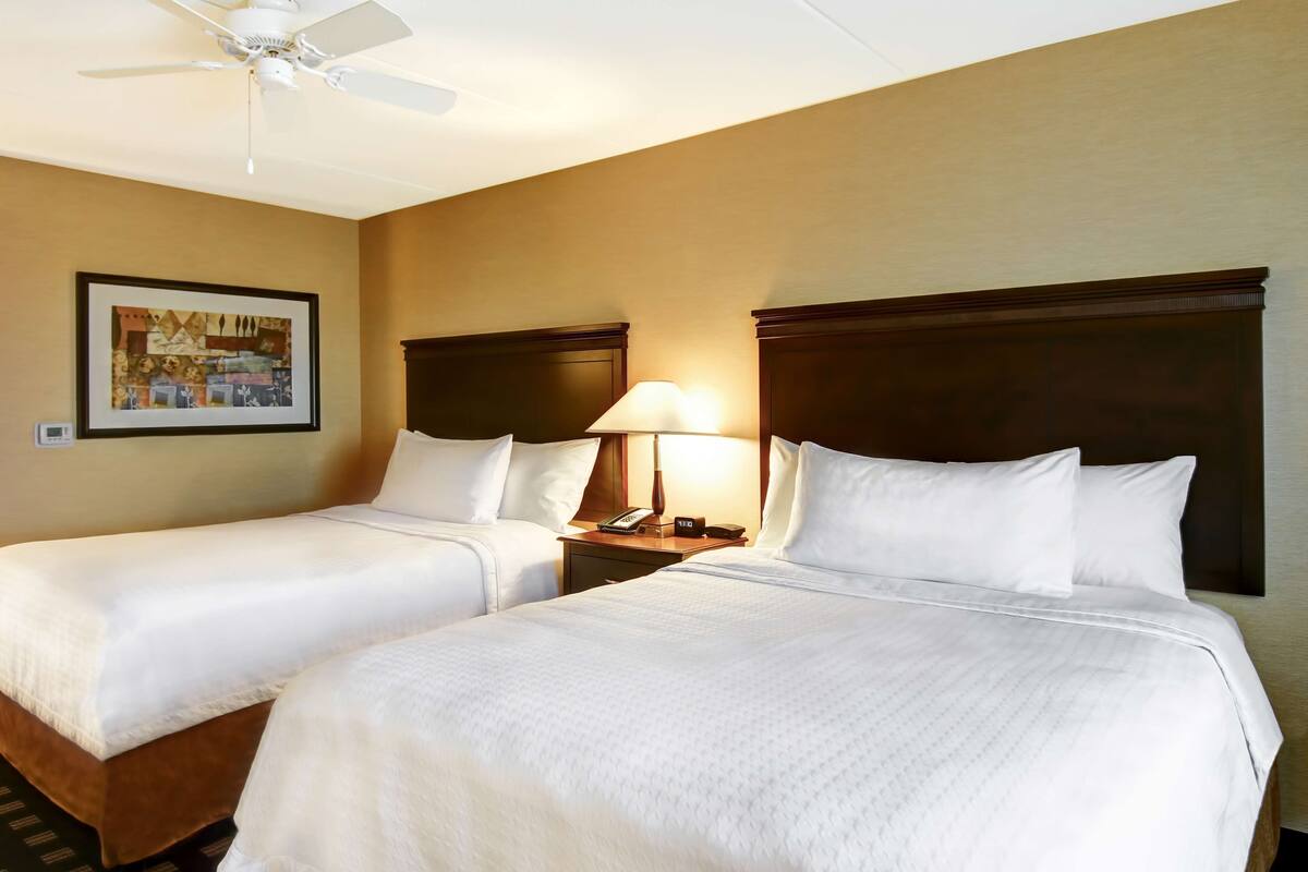 A hotel room with two beds, a ceiling fan, a nightstand with a lamp, and a framed picture on the wall.
