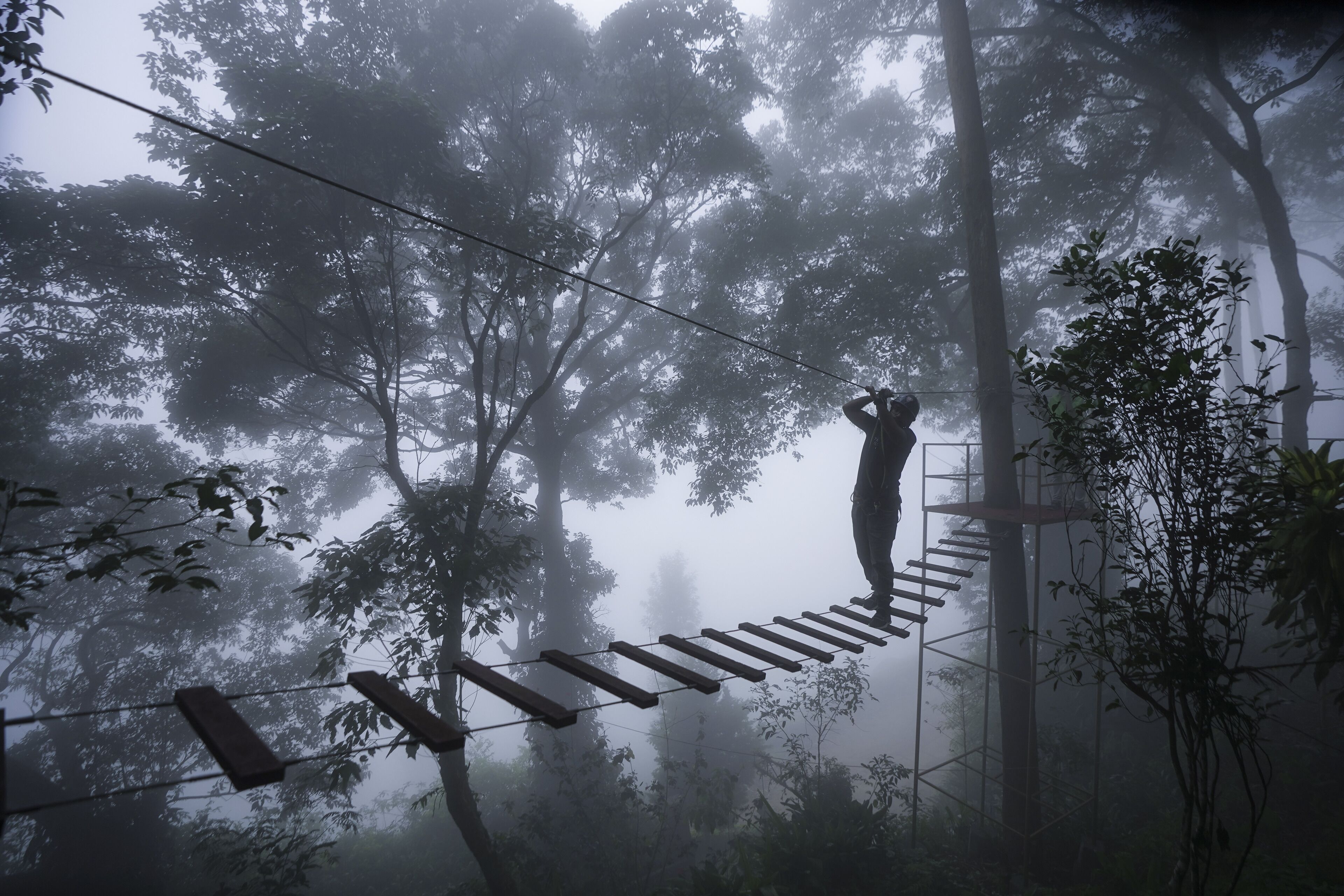 A person walking on a suspended rope bridge in a foggy forest.