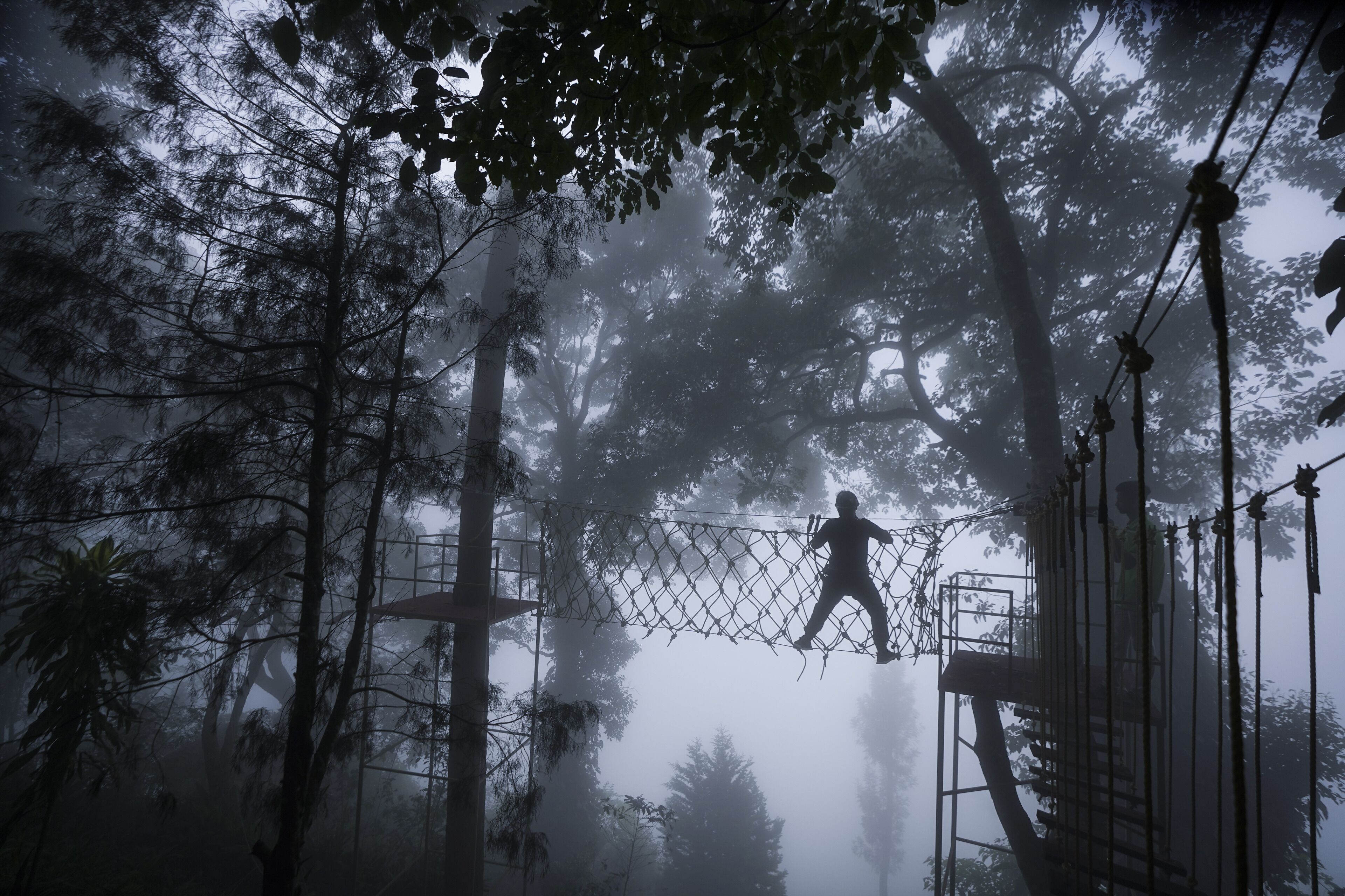 Una persona caminando sobre un puente colgante en un área boscosa con árboles y niebla.