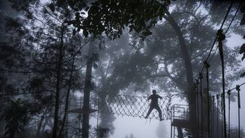 Una persona caminando sobre un puente colgante en un área boscosa con árboles y niebla.