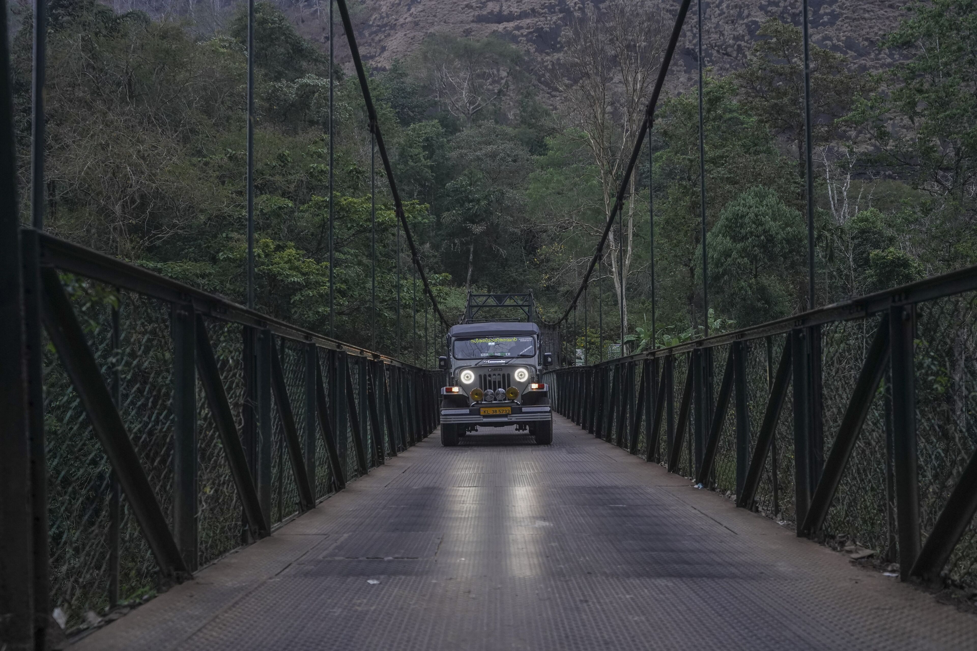 A vehicle on a bridge surrounded by dense forest.