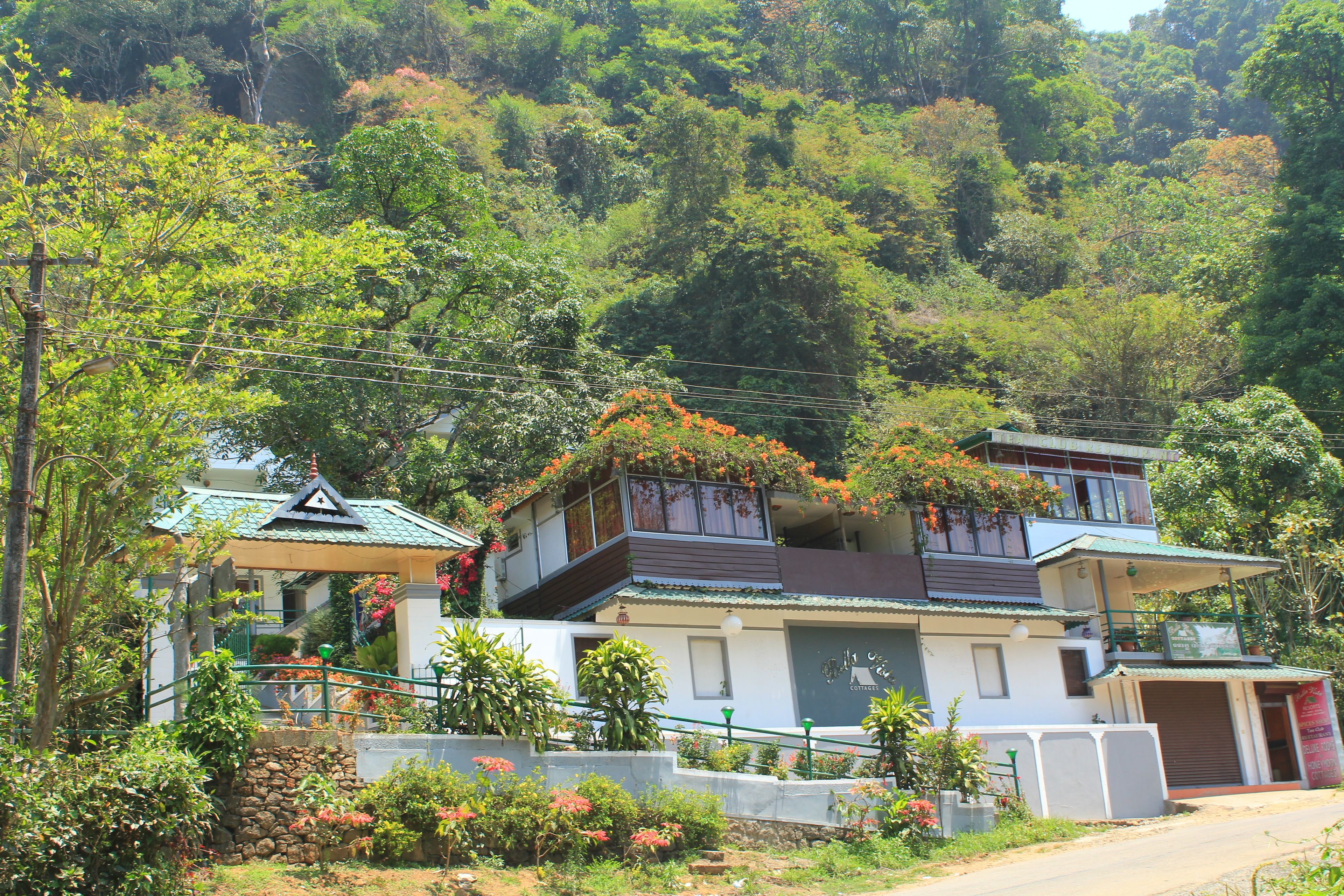 A residential area with houses surrounded by lush greenery and hills.