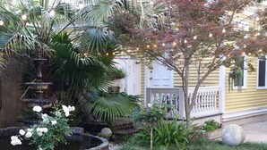 Un giardino con una fontana, un albero e luci decorative.