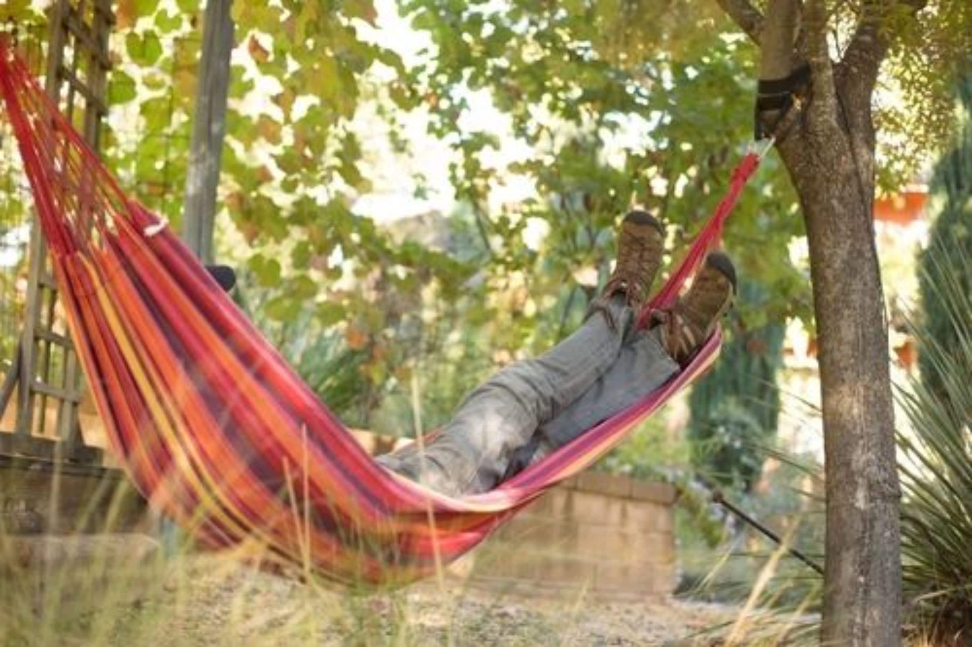 Un hamac suspendu entre deux arbres, dans un cadre naturel.