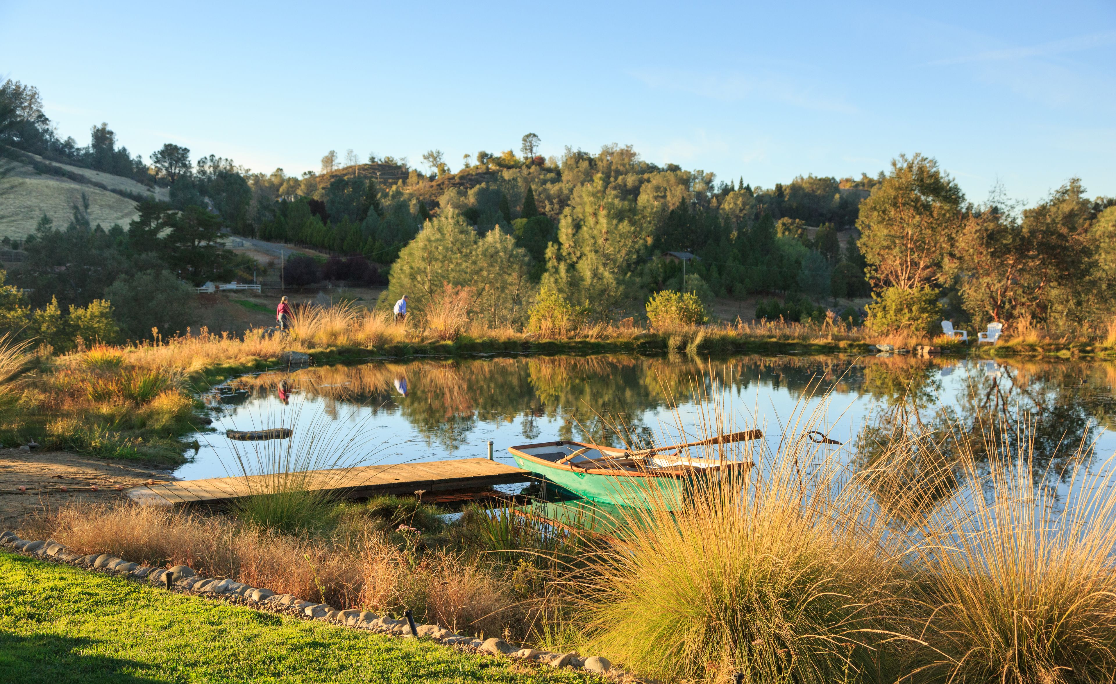 Un paesaggio tranquillo con un lago, un molo, acque calme e vegetazione circostante.