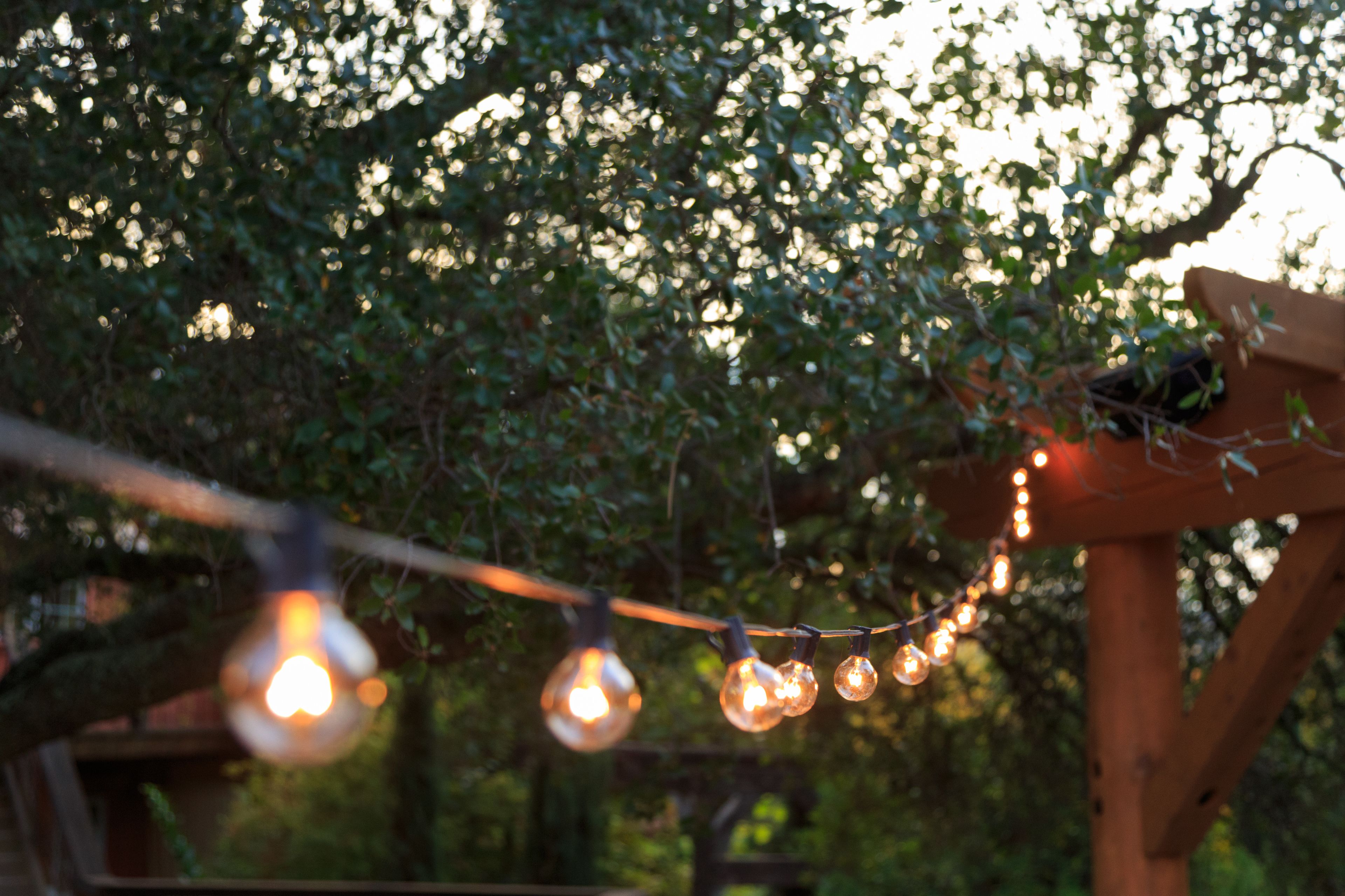 A string of warm, glowing lights hanging from a wooden structure amidst dense foliage.