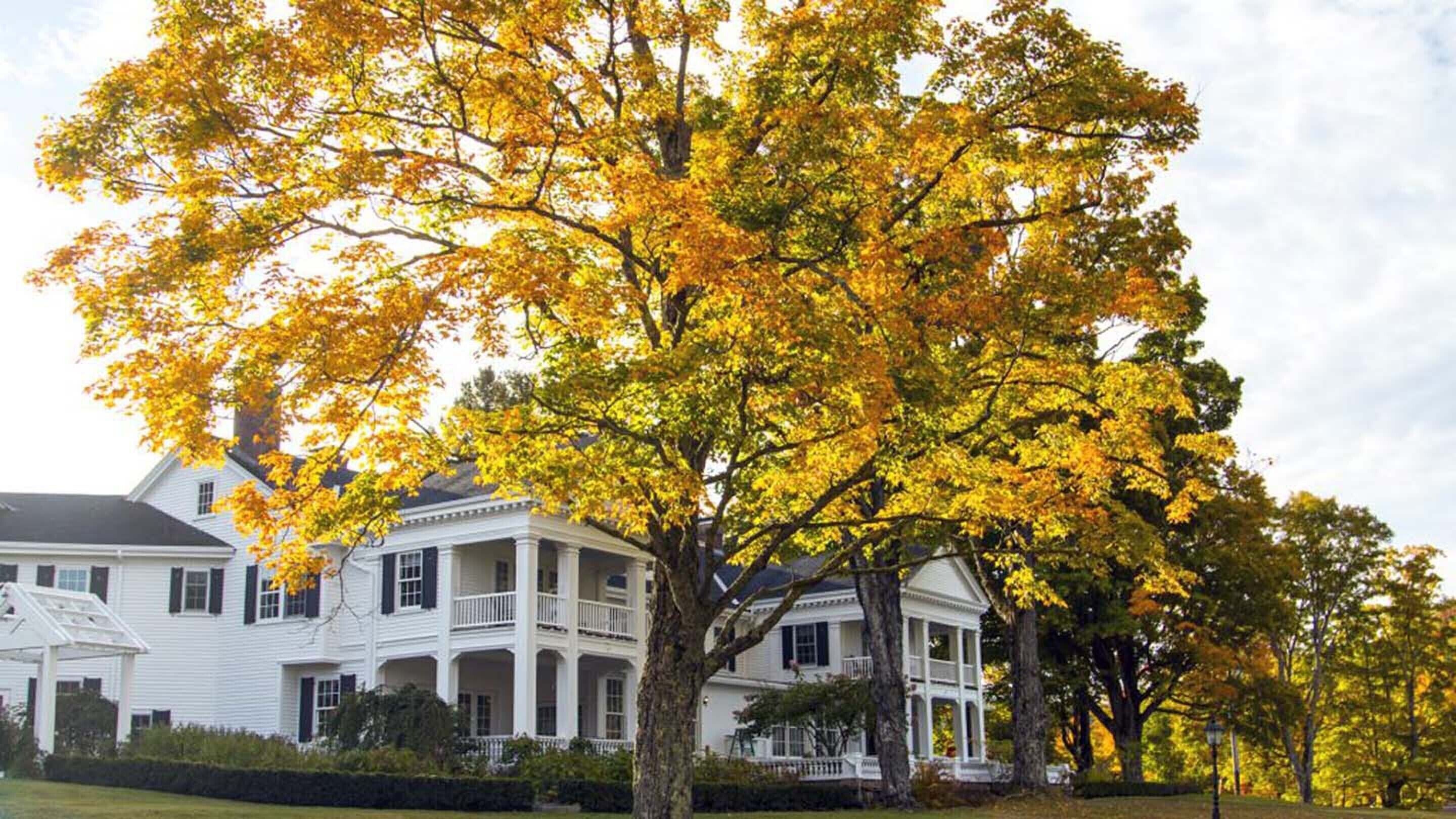 A large white house with multiple porches and a prominent tree with yellow leaves in front.
