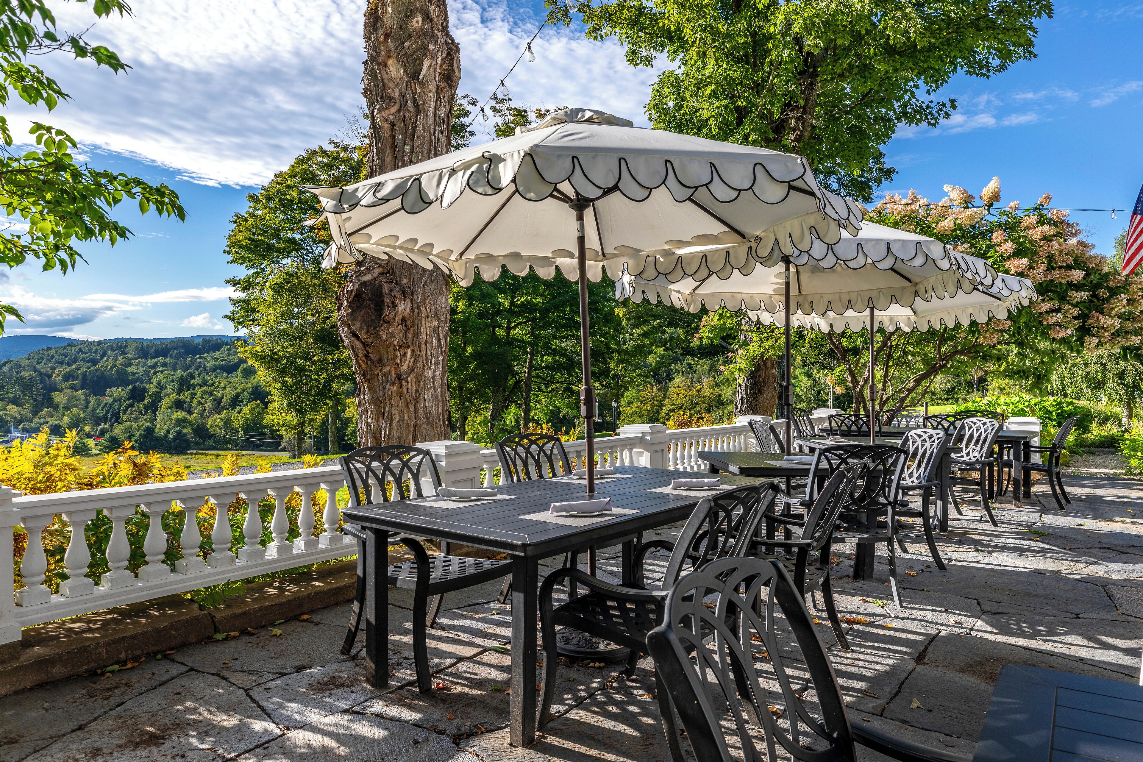 テラス / パティオ