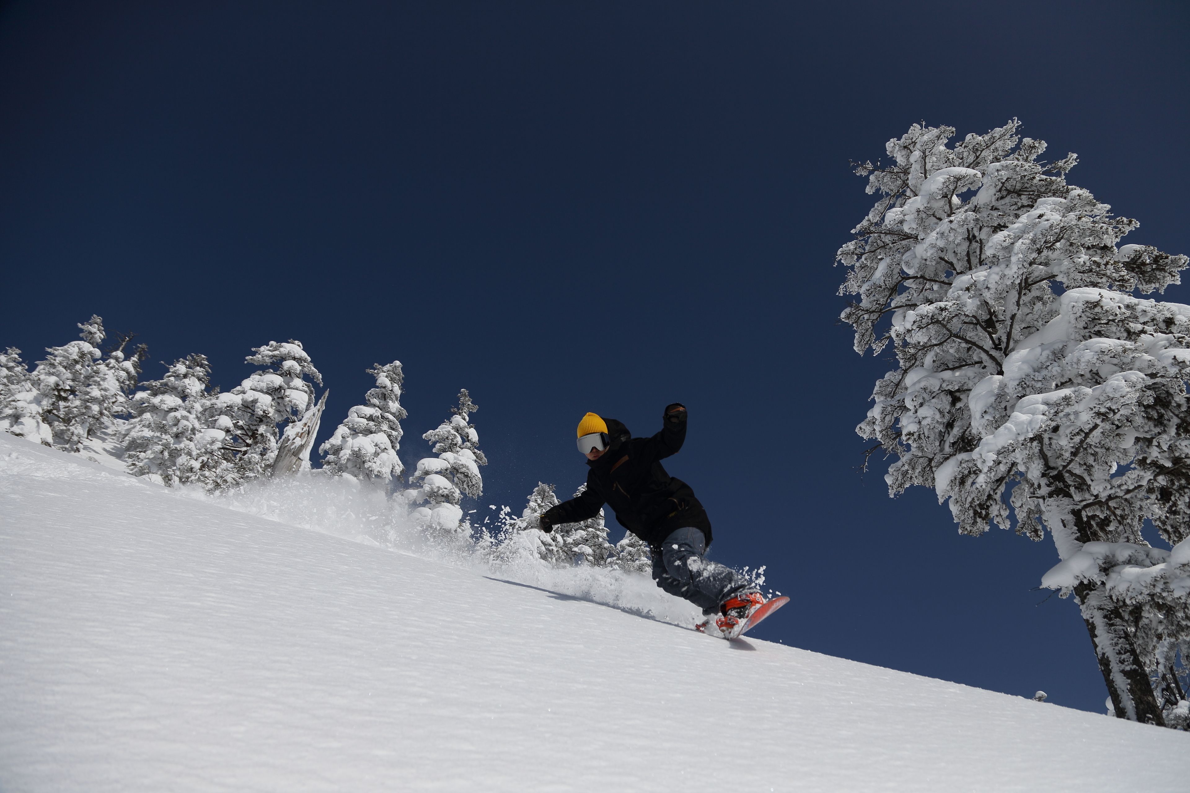 Uno snowboarder su una pista innevata con alberi sullo sfondo.