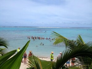 A beach with people swimming and standing on the shore, palm trees in the foreground, and a clear view of the ocean. - Raina Holiday Accommodation (Rarotonga)