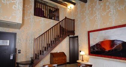 Bauer Casa Nova