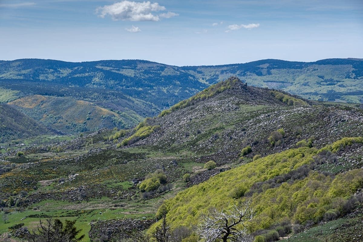 Paisatge montanyós amb turons suaus i vegetació escassa.