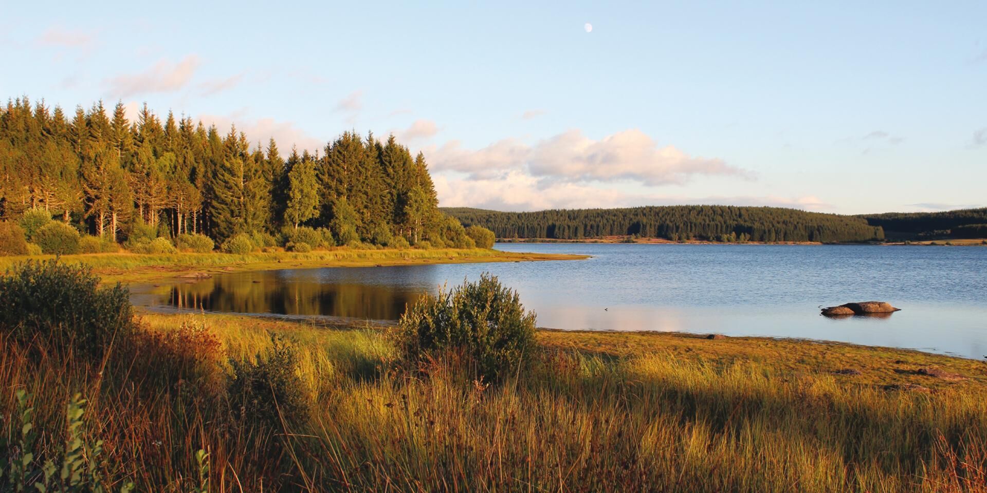 A serene lake surrounded by dense forest and grassy areas.