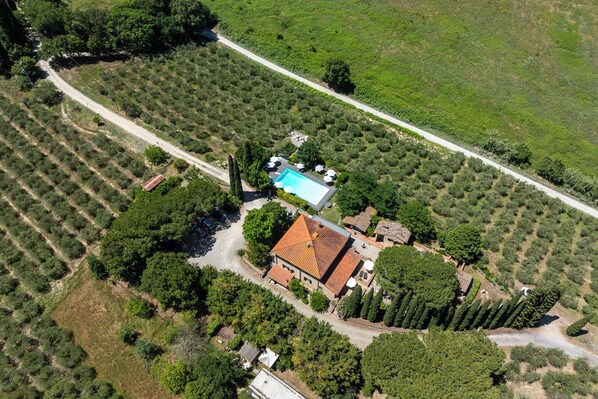 Vista aérea de una propiedad con piscina, un edificio de techo rojo y filas de vegetación.