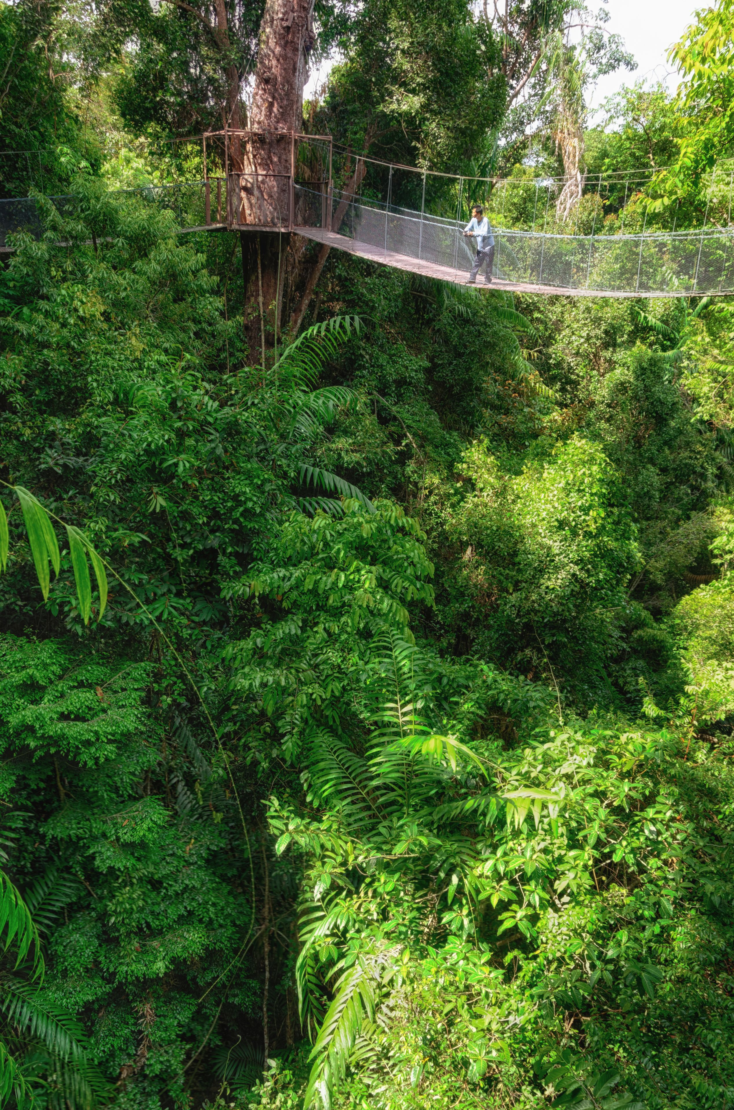 Photo - Bunga Raya Island Resort & Spa