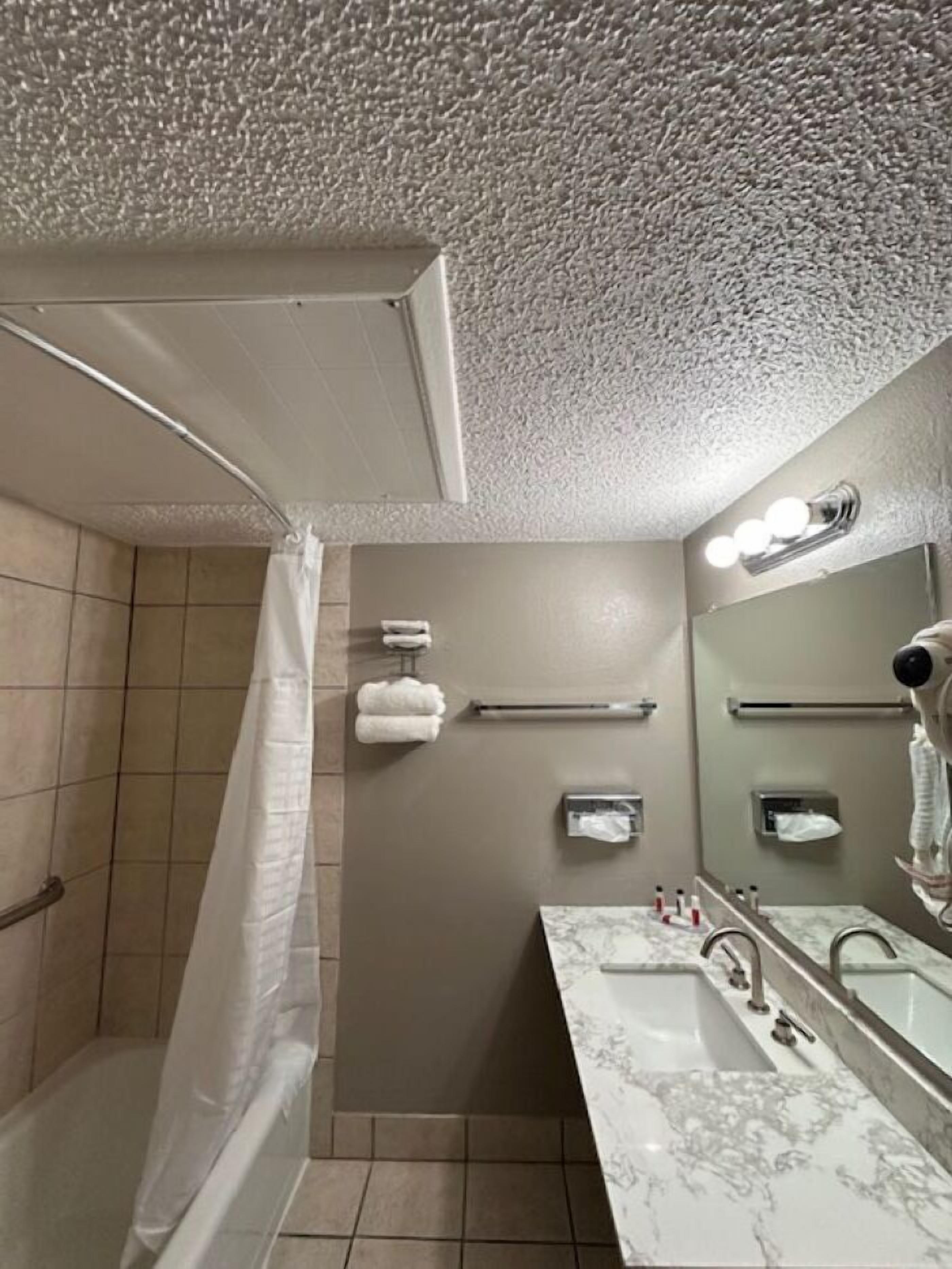 A bathroom with a shower, a sink, and a mirror.