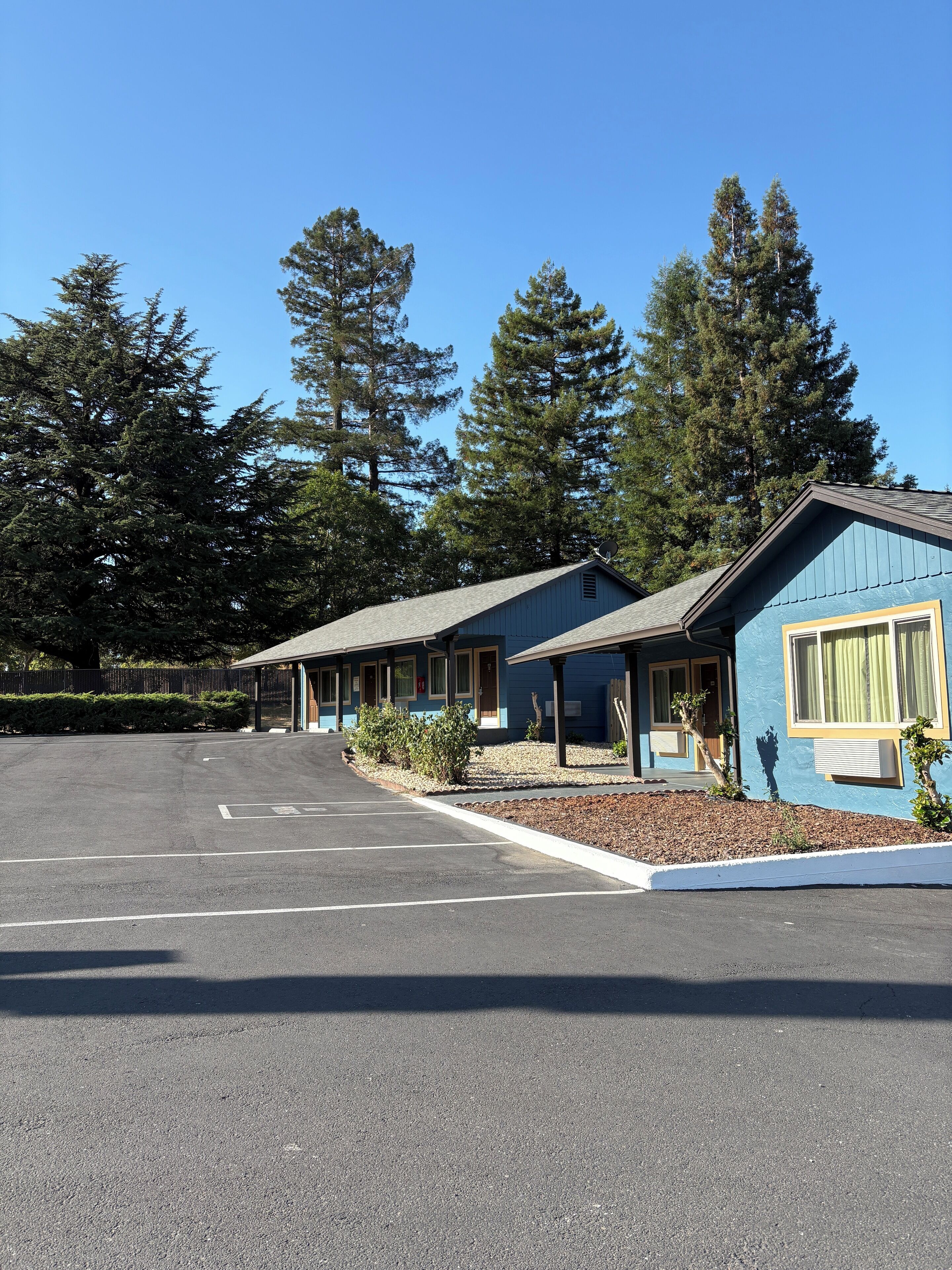 Televisor de pantalla plana 