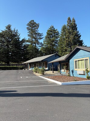 Televisión de pantalla plana 