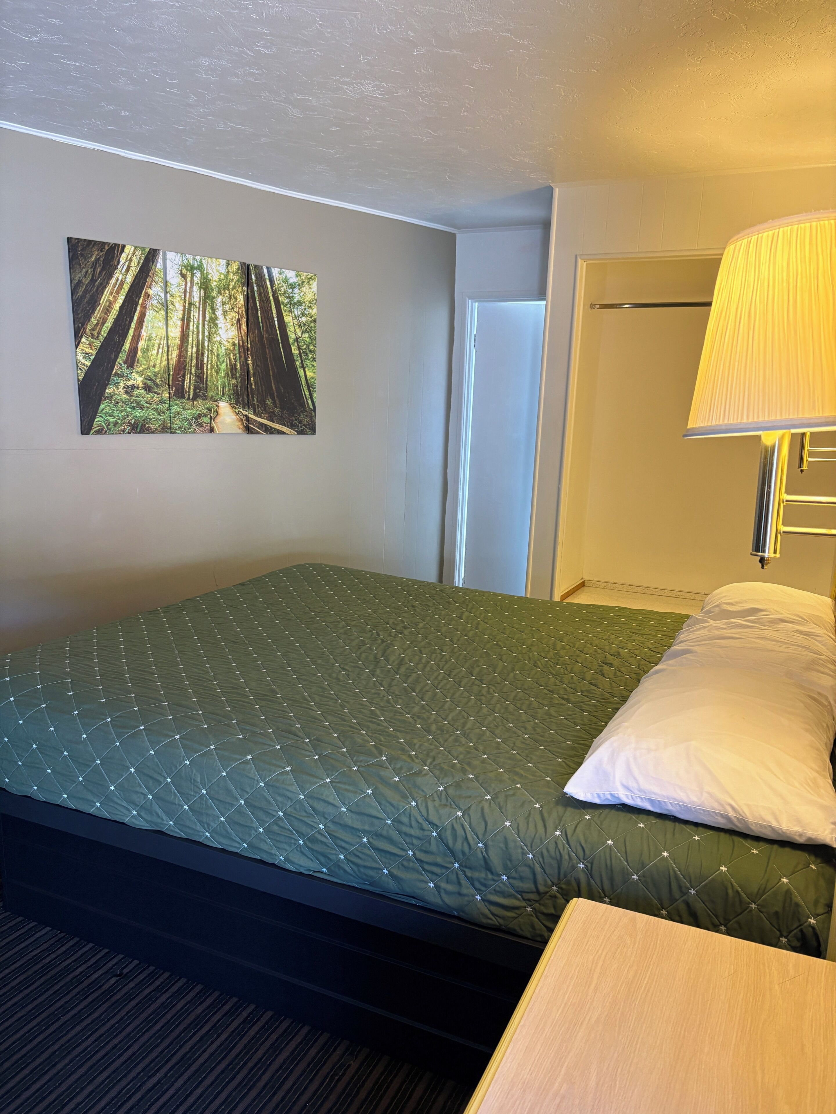 Deluxe Room, 1 King Bed, Non Smoking | Desk, free WiFi, bed sheets