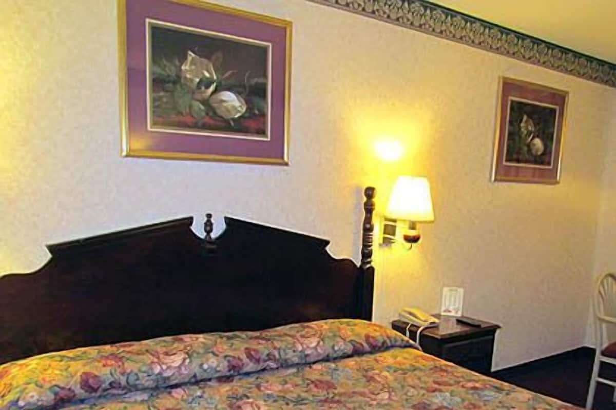 One king bed nonsmoking | Iron/ironing board (on request), WiFi (free)