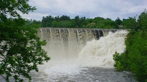 Un grand barrage d’où jaillit une cascade d’eau, le tout entouré d’une végétation luxuriante.