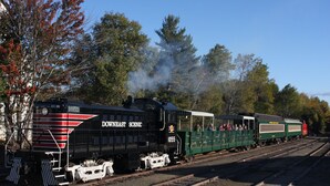 Une locomotive à vapeur transportant des passagers sur une voie ferrée, entourée d’arbres.