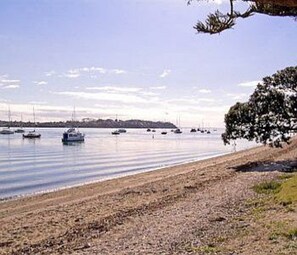 Uma paisagem costeira com barcos em águas calmas, uma praia de areia e uma árvore à direita.