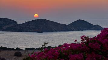 Un paisaje costero con un atardecer sobre el mar, terreno rocoso y flores rosadas en primer plano.