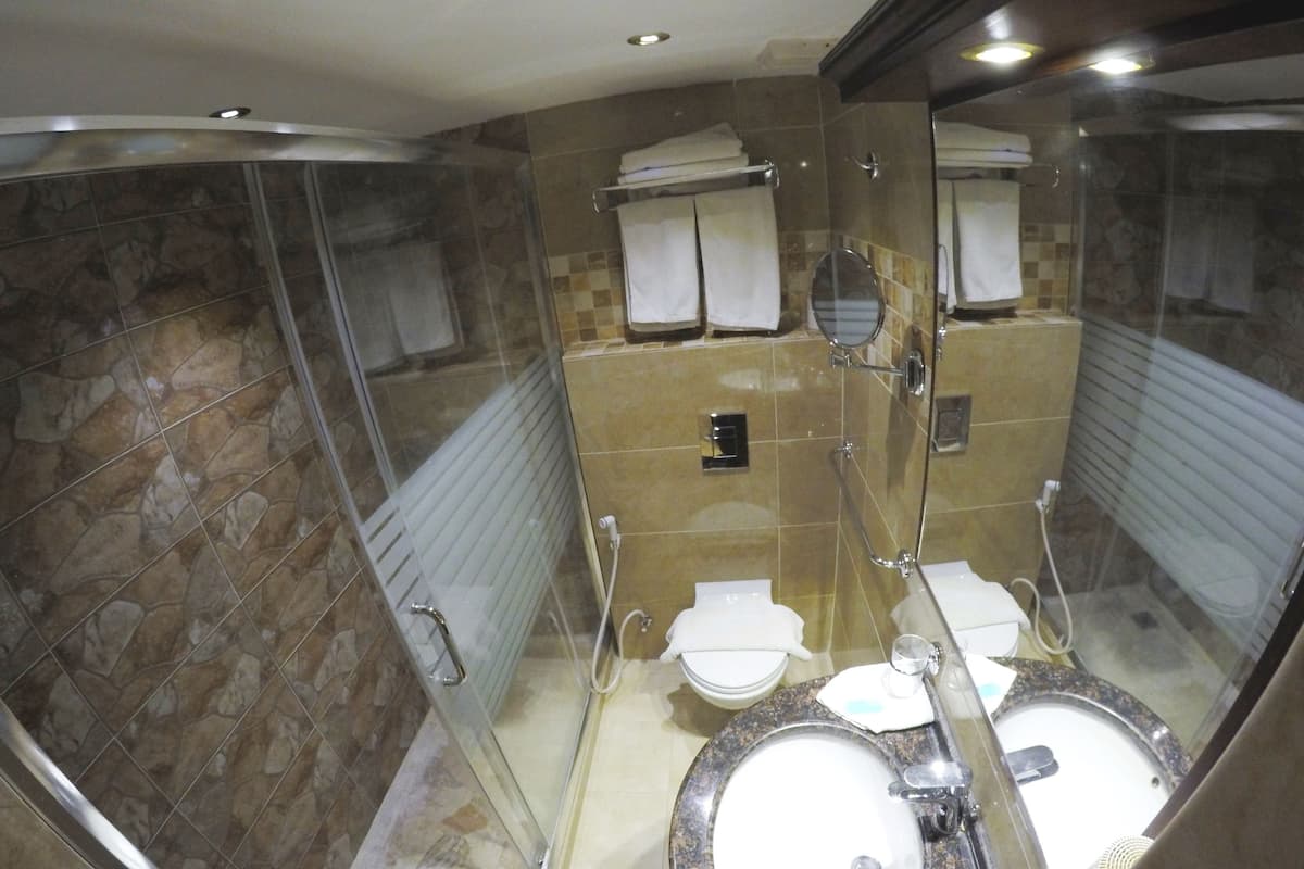 hydromassage showerhead, designer toiletries, hair dryer, bathrobes