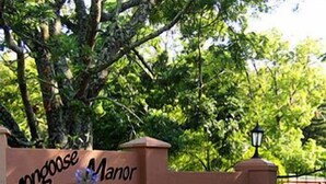 A sign for 'Monggoose Manor' with a contact number and a logo. - Mongoose Manor (Gqeberha (Port Elizabeth))