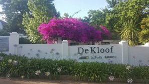 Property grounds - De Kloof Luxury Estate (Swellendam)