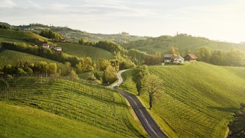 Paesaggio rurale con dolci colline, vigneti e una strada tortuosa.