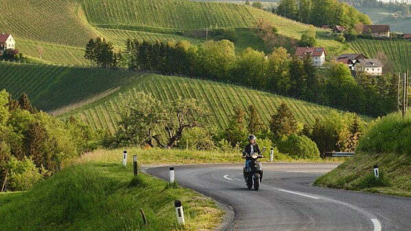 A motorcyclist on a winding road surrounded by lush green hills and scattered houses. - Landgut am Pößnitzberg (Leutschach)