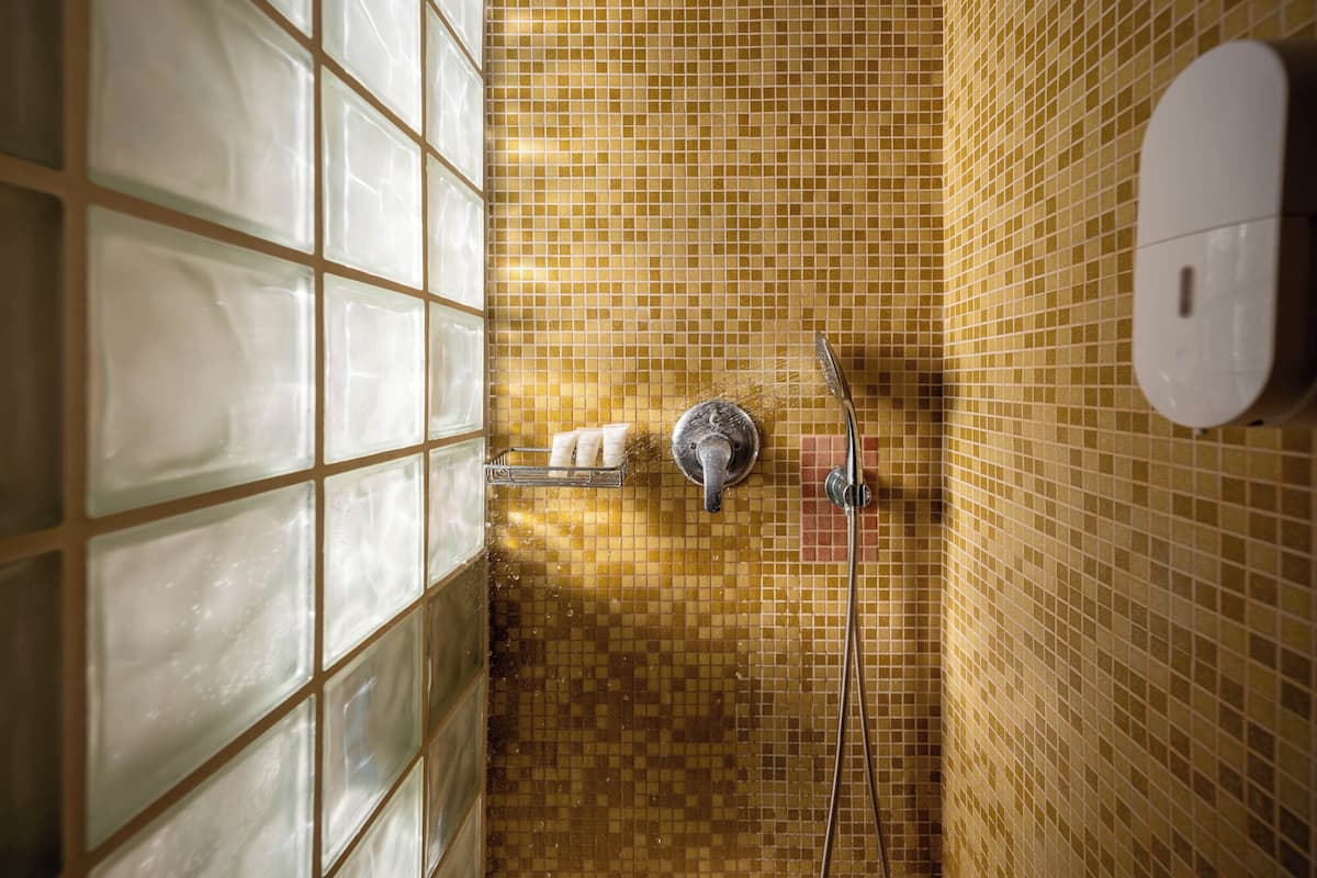 deluxe room | bathroom | shower, free toiletries, hair dryer, towels